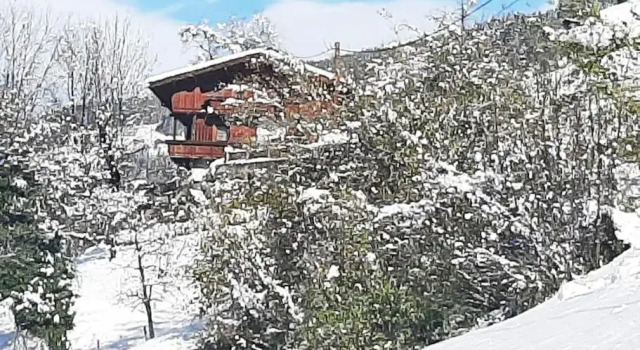 Апартаменты Mountain chalet