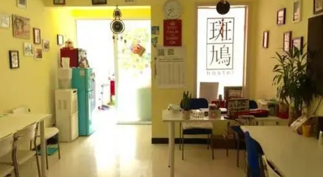 Turtledove Youth Hostel Taiyuan