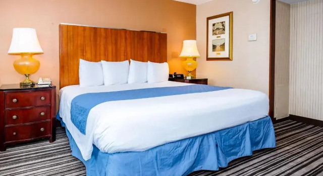 Номер Standard Metro Points Hotel Washington North