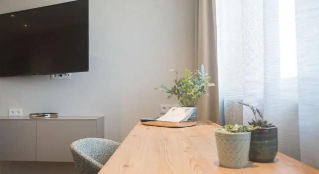 Одноместный номер Standard TT Aparthotel Neuhofen