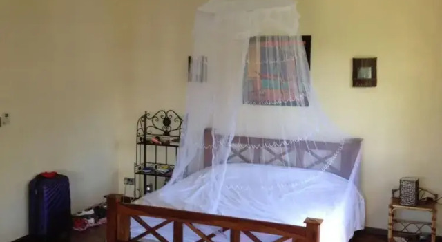 Beautiful 4-bed Villa Pool & Maid in La Preneuse