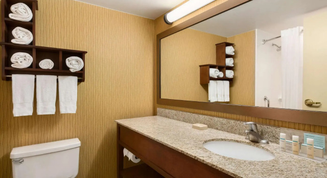 Четырёхместный номер Standard Hampton Inn Denver West Federal Center