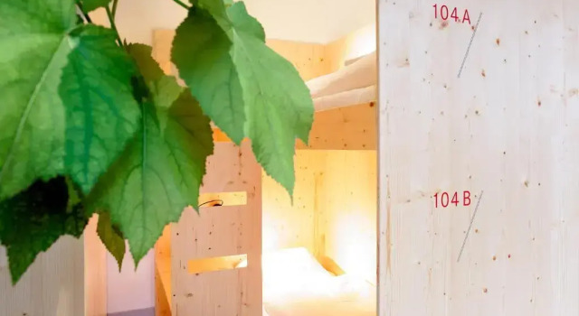 Кровать в общем номере The Green Elephant Hostel & Spa