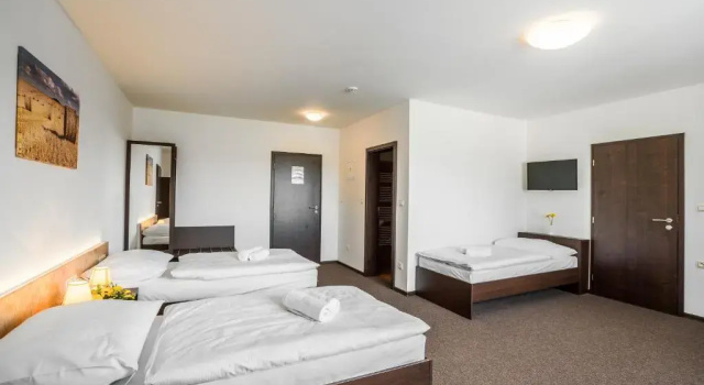 Номер Luxury Hotel Na Farmě Choťovice