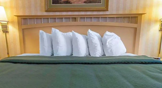 Номер Standard Quality Inn Barkeyville