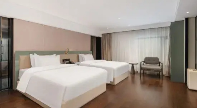 Люкс Tonino Lamborghini Wenzhou Pingyang Hotel
