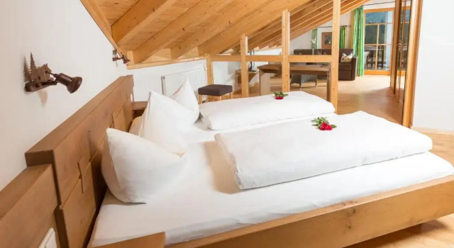 Номер Standard Hotel und Apartements im Forellenbach