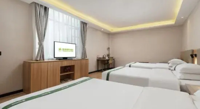 Номер Business GreenTree Inn Hubei Huanggang Hong An Wal-Mart Plaza Business Hotel