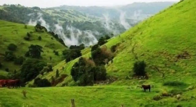 Номер Luxury Top Of The Hill