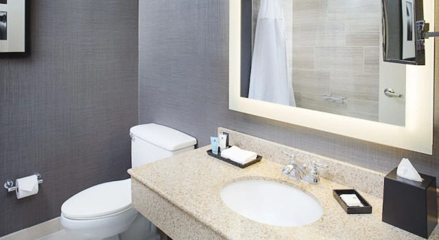 Четырёхместный номер Premium Crowne Plaza Annapolis by IHG