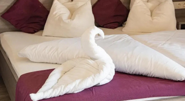 Номер Deluxe Hotel Zur Schonenburg
