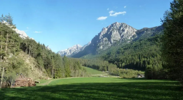Номер Standard Hotel Al Sonnenhof