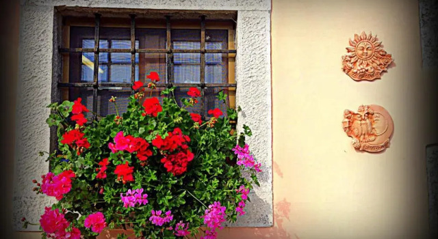 Номер Standard Agriturismo Borgovecchio