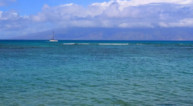 Kahana Reef 116 by RedAwning