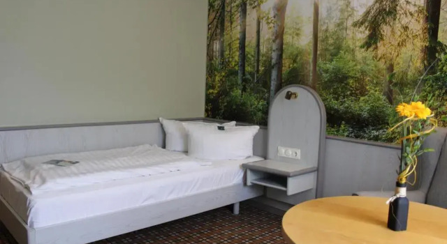 Camera singola Standard Hotel Rennsteig