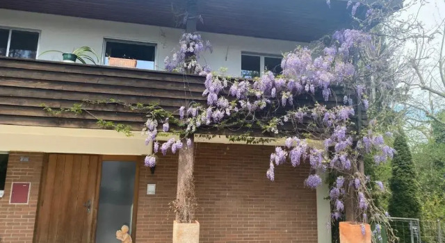 Апартаменты Apartments in Leafy Suburb