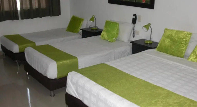 Номер Classic Hotel Aussie koala