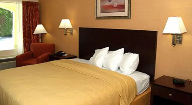 Номер Standard Quality Inn Media