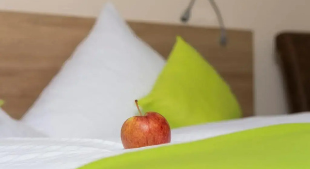 Номер Standard Hotel Gasthof Sonne