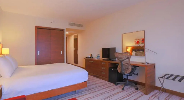 Двухместный номер Hilton Garden Inn Eskisehir