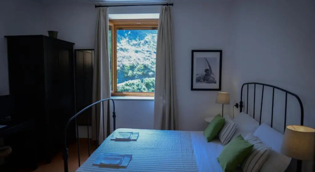 Номер Standard Case Sparse 7