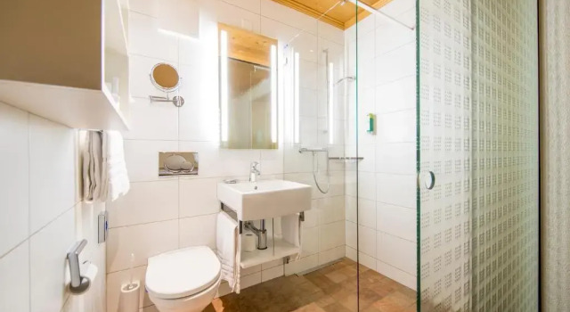 Трёхместный номер Standard Hotel Alpbach