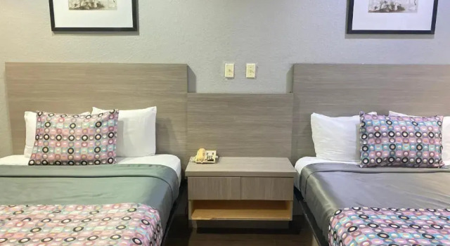 Четырёхместный люкс Island Suites Hobby Airport