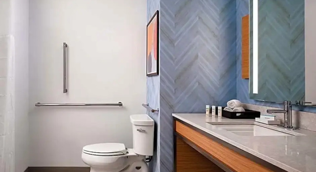 Трёхместный номер Deluxe Hilton Garden Inn Grapevine At Silverlake Crossing, Tx