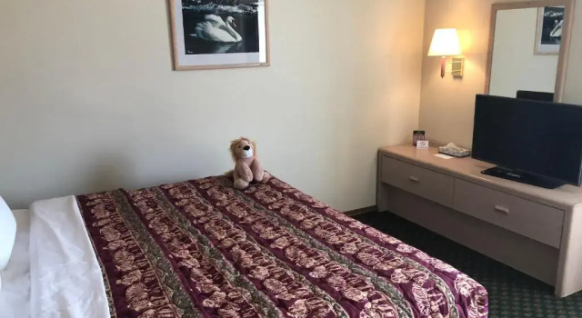 Люкс Kings Inn Cody