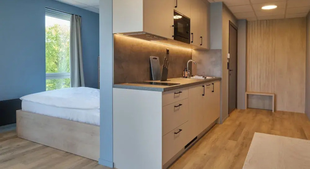 Deluxe suite Horten Apartment