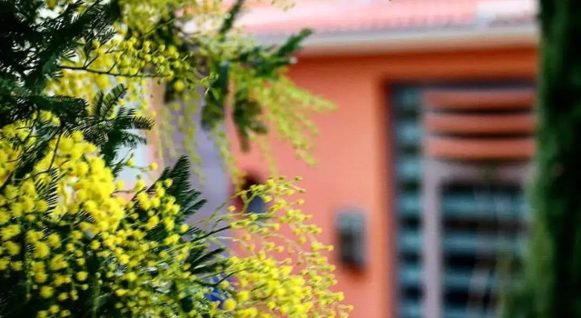 Thalassa Hotel