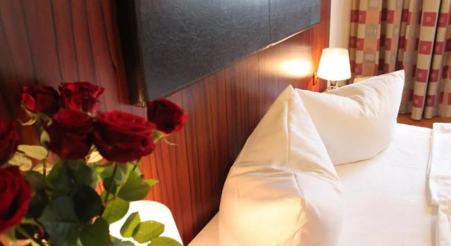 Трёхместный номер Standard City Hotel Mercator