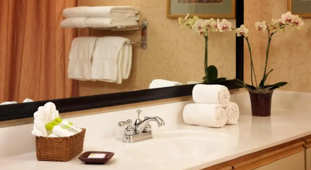 Люкс Larkspur Landing Extended Stay Suites Hillsboro
