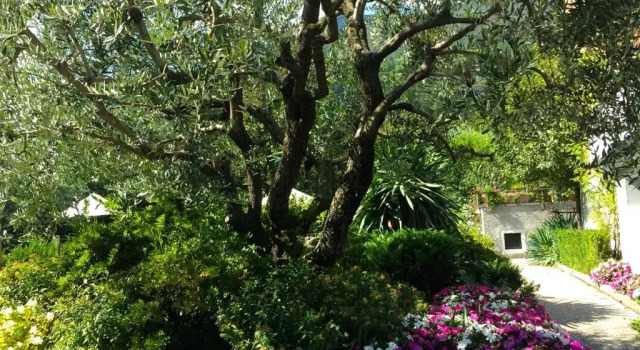 Apartment IRIS 1 lago di Como