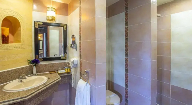Двухместный номер Deluxe с видом на бассейн Pickalbatros Palace - Aqua Park Hurghada