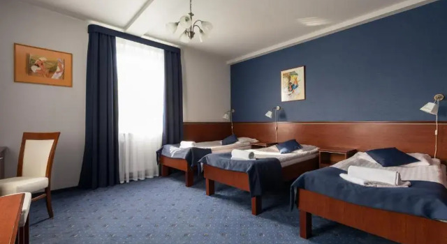 Трёхместный номер Standard Hotel Skalite Spa & Wellness