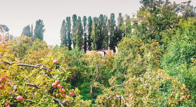 Guest House LETO