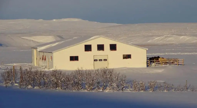 Семейный номер Standard Brekkulækur Guesthouse