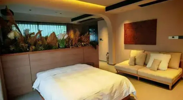 Люкс Luxury Sanqingshan Xiyunjian Homestay