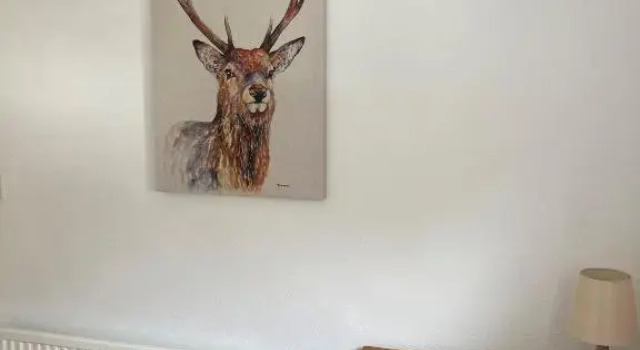 The Waterside Apartment 6, Buchen Sie Ferienwohnung Largs 