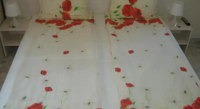 Двухместный номер Standard Kupenova Guest House