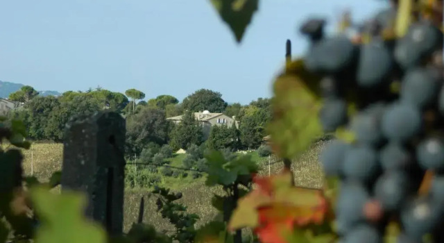 Апартаменты Luxury B&B Residenza La Canonica