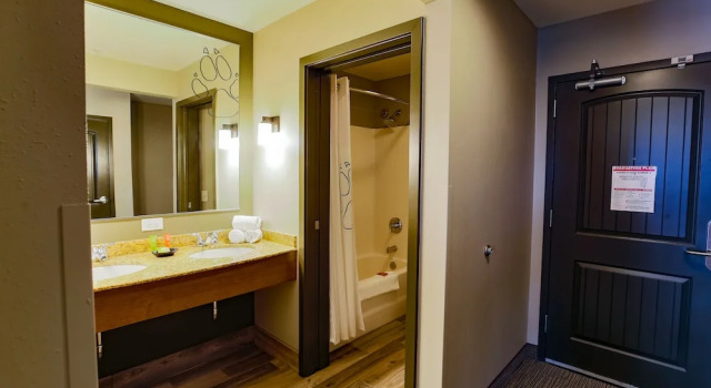 Полулюкс Great Wolf Lodge Chicago/Gurnee