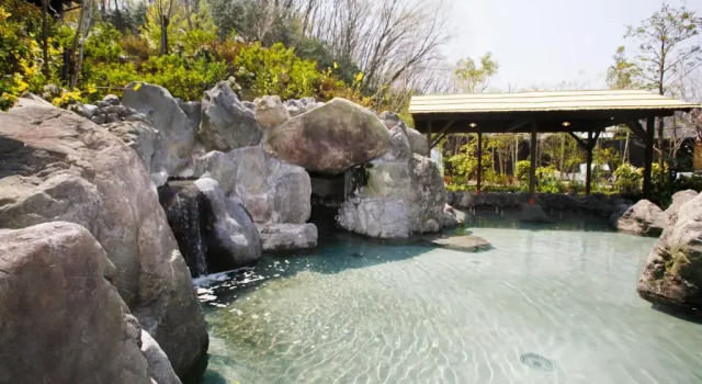 Номер Economy Nesta Resort Kobe