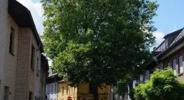 Ferienwohnung Haagedoernchen, Забронировать Отель Неттеталь Lower Rhine