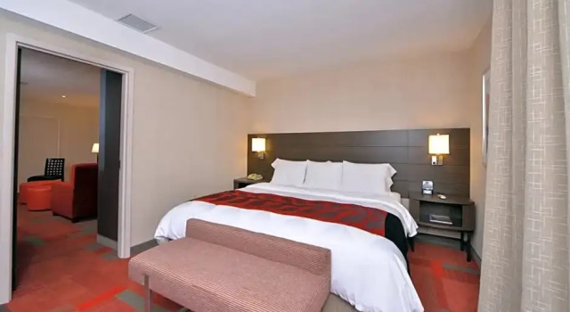 Doppel Suite Radisson Hotel Madison