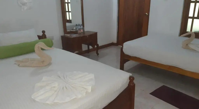 Номер Deluxe Banana Rest Sigiriya