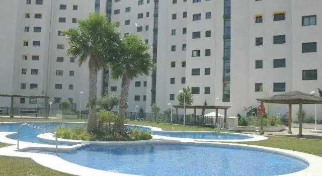 Gemelos XXIV