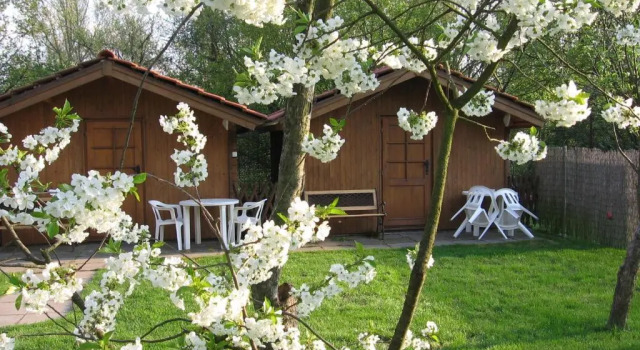 Бунгало Apartment Trojska