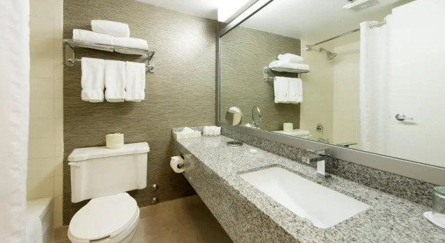 Номер Standard с видом на сад Toronto Don Valley Hotel and Suites